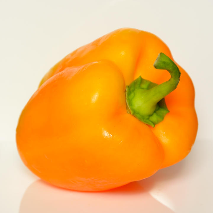 An orange capsicum pepper on a white background